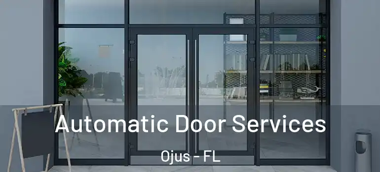  Automatic Door Services Ojus - FL