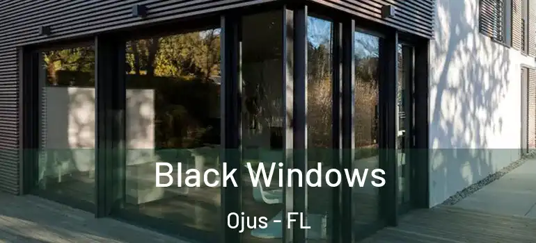  Black Windows Ojus - FL