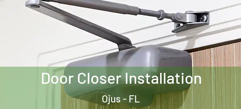  Door Closer Installation Ojus - FL
