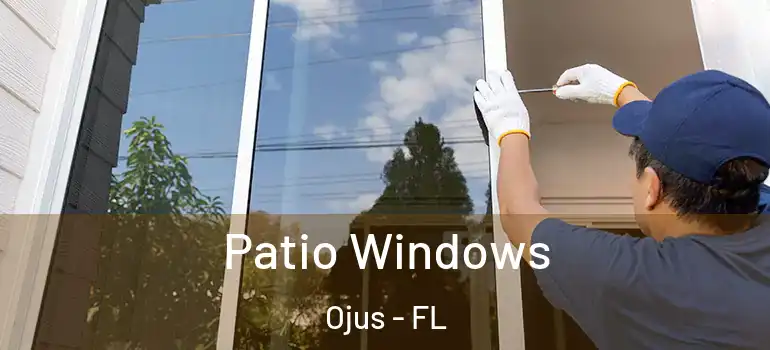  Patio Windows Ojus - FL