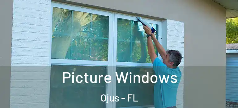  Picture Windows Ojus - FL