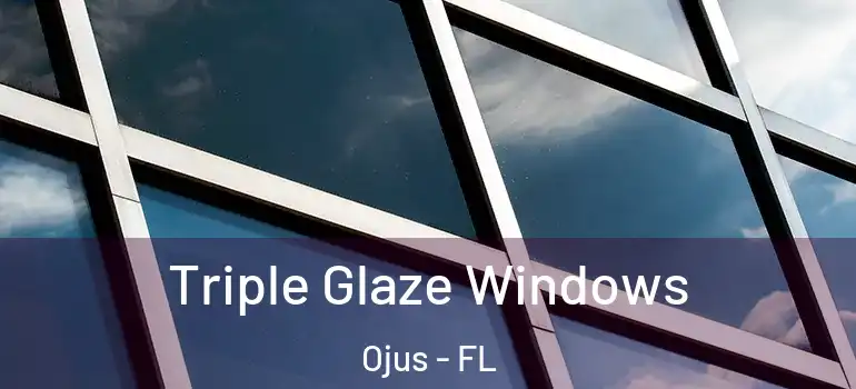  Triple Glaze Windows Ojus - FL