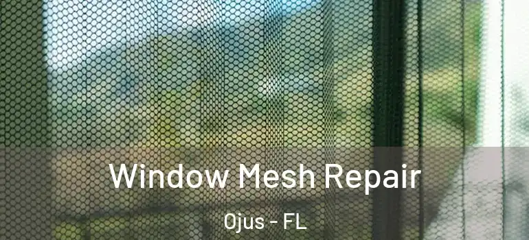  Window Mesh Repair Ojus - FL
