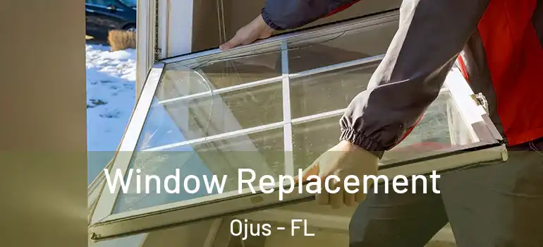  Window Replacement Ojus - FL